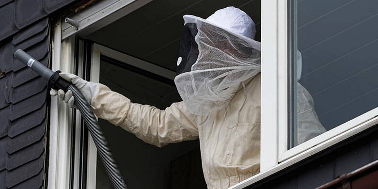 Chi assume i costi per la rimozione di un nido di vespe? Nido di vespe - chi paga i costi di rimozione del nido? Quale compagnia di assicurazione è responsabile della copertura dei costi e a chi consigliate di rimuovere il nido di perturbazione? I vigili del fuoco o il disinfestatore? Rispondiamo a queste e ad altre domande nel nostro dettagliato articolo tecnico