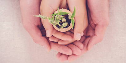 4. Schwangerschaftswoche 4. Schwangerschaftswoche. Das Alles-oder-Nichts-Prinzip. Liegen jetzt gravierende Entwicklungsschäden bei der bereits gebildeten Blastoszyste vor, wird es höchstwahrscheinlich zu einem frühen Abort kommen. Die Blastozyste wird beim Einsetzen der nächsten Menstruation abgehen.