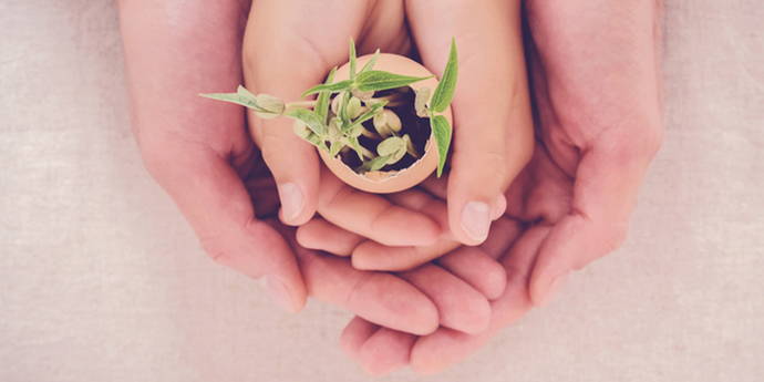 4. Schwangerschaftswoche 4. Schwangerschaftswoche. Das Alles-oder-Nichts-Prinzip. Liegen jetzt gravierende Entwicklungsschäden bei der bereits gebildeten Blastoszyste vor, wird es höchstwahrscheinlich zu einem frühen Abort kommen. Die Blastozyste wird beim Einsetzen der nächsten Menstruation abgehen.