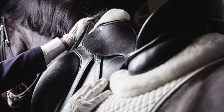 Incidente di equitazione Incidente in motoslitta - quali assicurazioni coprono i danni? I cavalli sono animali da fuga. In caso di panico, si può verificare rapidamente un elevato livello di lesioni personali e/o danni alle cose. Quali assicurazioni supplementari dovreste stipulare come cavaliere o proprietario di cavalli e perché? Maggiori informazioni su questo nel nostro post sul blog