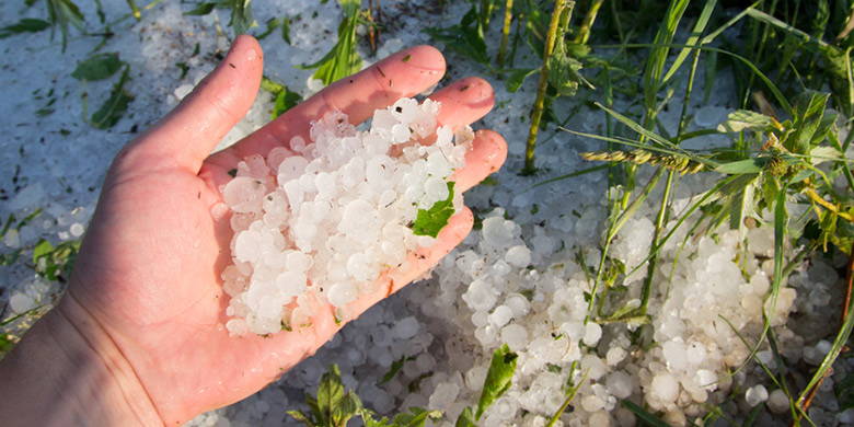 Assurance grêle Quelle assurance est payante en cas de bris d'une voiture, d'une serre, d'un trampoline, d'un store, d'un pare-soleil ou même d'une vitre de fenêtre à la suite d'une violente tempête de grêle ? Mais aussi le toit, les murs ou la propriété peuvent être affectés. Comment les agriculteurs peuvent-ils s'assurer eux-mêmes ?