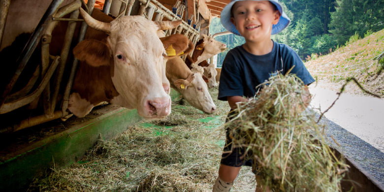 Angoscia esistenziale Ominosi nubi di tempesta scura sono in aumento e minacciano l'esistenza della famiglia laboriosa. I bambini devono rinunciare sempre di più ai loro genitori. Le fatture vengono lasciate aperte, i mucchi di posta incompiuti aumentano di giorno in giorno. I ricordi svolazzano nella casa e la montagna di debito diventa più alta.