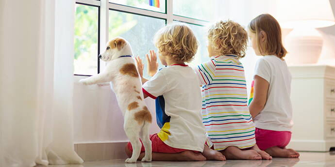 Privathaftpflicht - was umfasst die Grunddeckung und reicht sie aus? Privathaftpflicht-Versicherung | Der Abschluss einer Privathaftpflicht-Versicherung ist in der Schweiz nicht obligatorisch. Macht es Sinn, sie trotzdem abzuschliessen und warum? Spielt es beim Entscheid eine Rolle, ob man Mieter, Hauseigentümer, Single, Paar oder eine Familie mit Kindern ist?