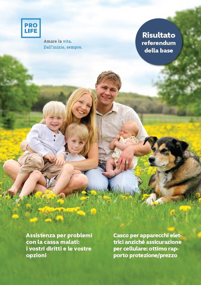 Numero 1/2025:Risultato referendum della base