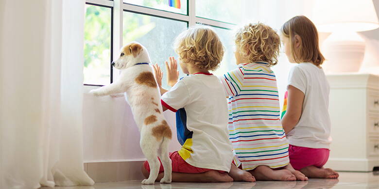 Assurance responsabilité civile privée Assurance responsabilité civile privée – La souscription d'une assurance responsabilité civile privée n'est pas obligatoire en Suisse. Est-il logique de le soucrire de toute façon et pourquoi? Qu'importe que vous soyez locataire, propriétaire, célibataire, couple ou famille avec enfant?