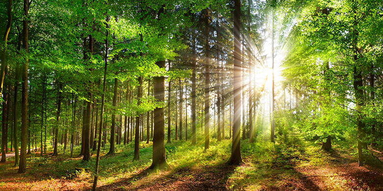 Licht in dunkle Situationen Unsere Mitglieder liegen uns am Herzen, deshalb gibt es die «Herzensspende». Wir möchten Licht in dunkle Situationen bringen. Spenden von Mitgliedern für Mitglieder ermöglichen es.