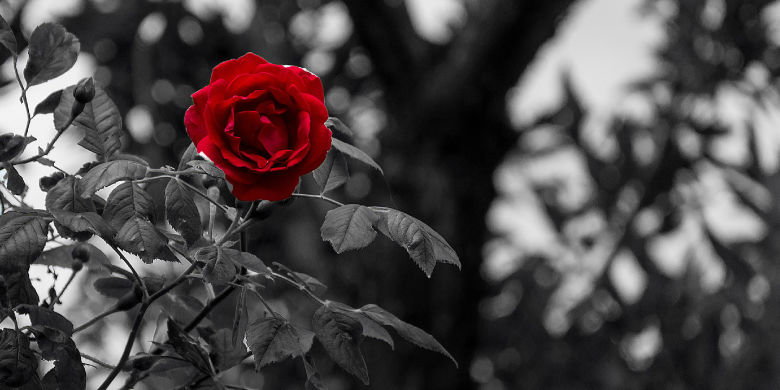 plötzlicher Kindstod Der Tod eines Kindes gehört wohl zu den grössten Herausforderung unseres Lebens. Mit dem Verlust bricht alles zusammen. Das Familienleben ändert sich radikal und das seelische Gleichgewicht jedes Einzelnen geht oft für sehr lange Zeit, manchmal für immer, verloren. Wie umgehen mit dem plötzlicher Kindstod?